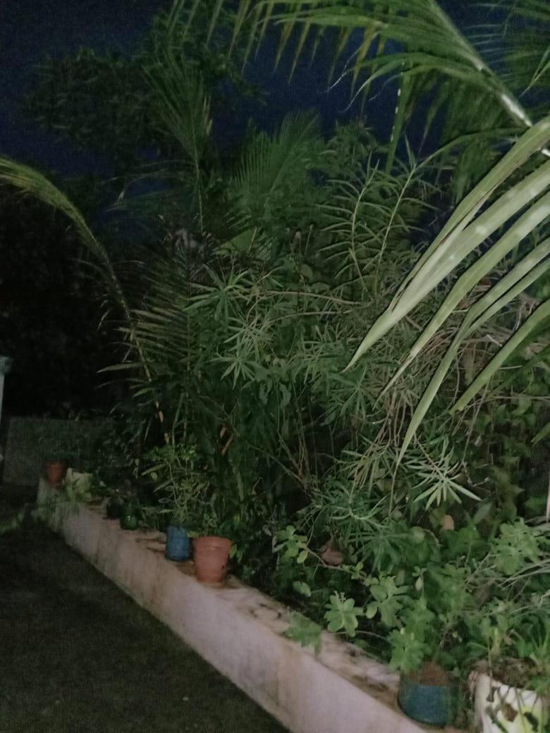 Anna Miracle Homestay Kasarkod Exterior photo